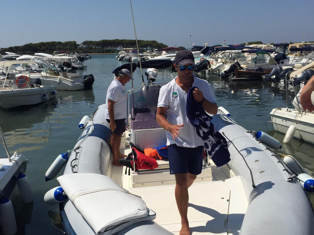 Centro Educazione Ambientale Porto Cesareo-切萨雷奥港必去景点