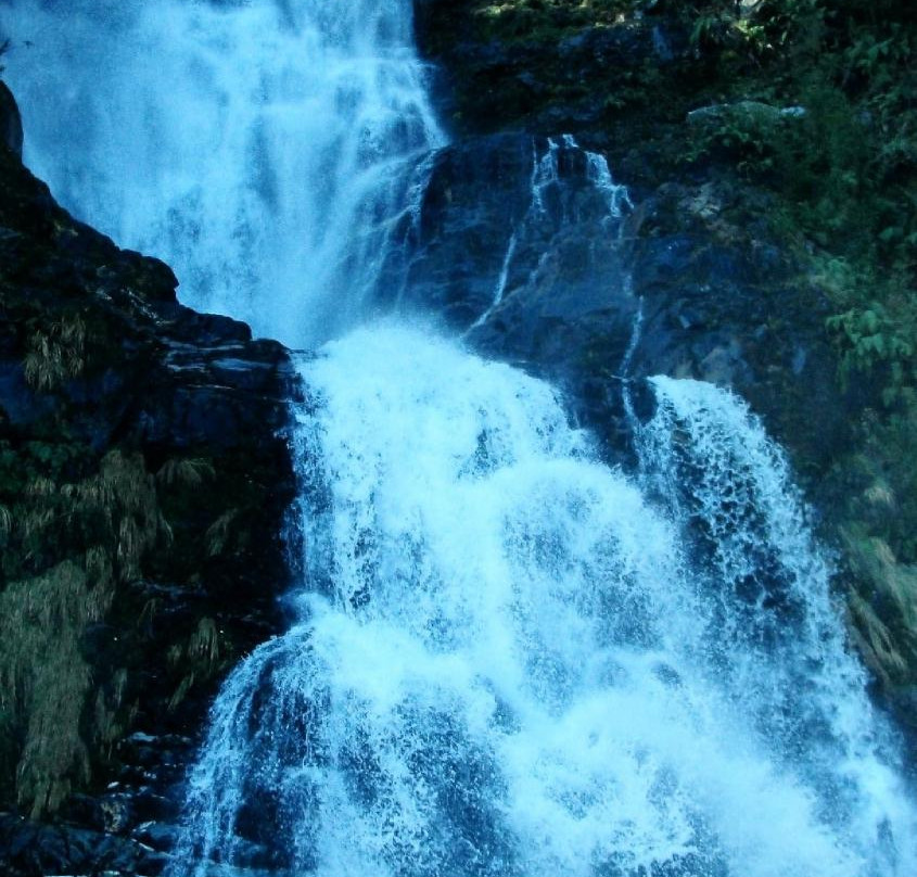 Puerto Aisen旅游景点-Cascada del Leon
