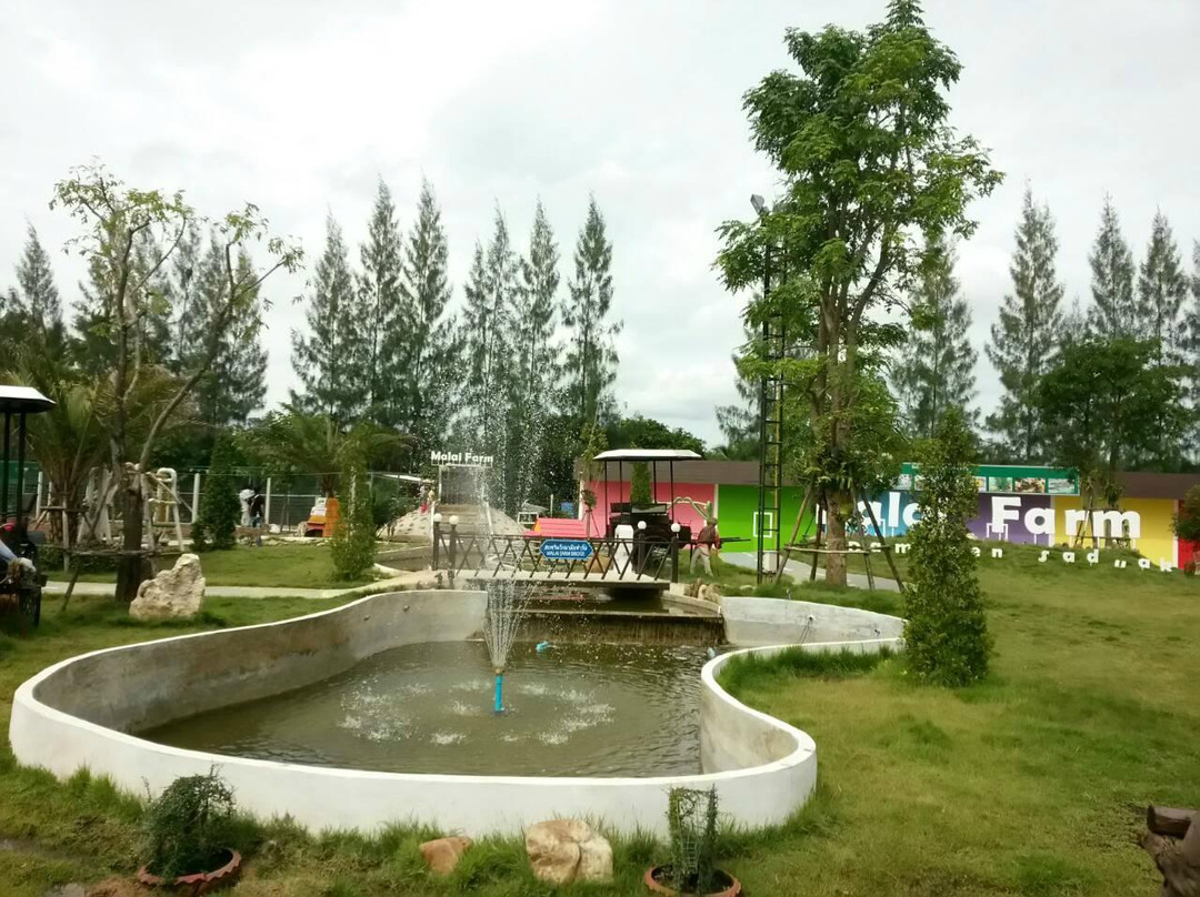 Malai Ostrich Farm景点图片