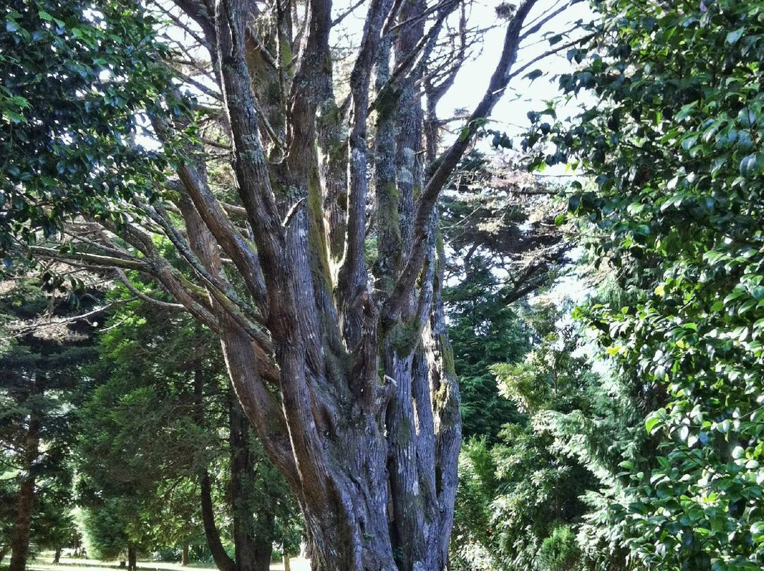 Quinta da Junta Garden-Santo Antonio da Serra必去景点