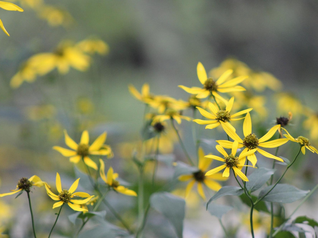 Baraboo Riverwalk-巴拉布必去景点