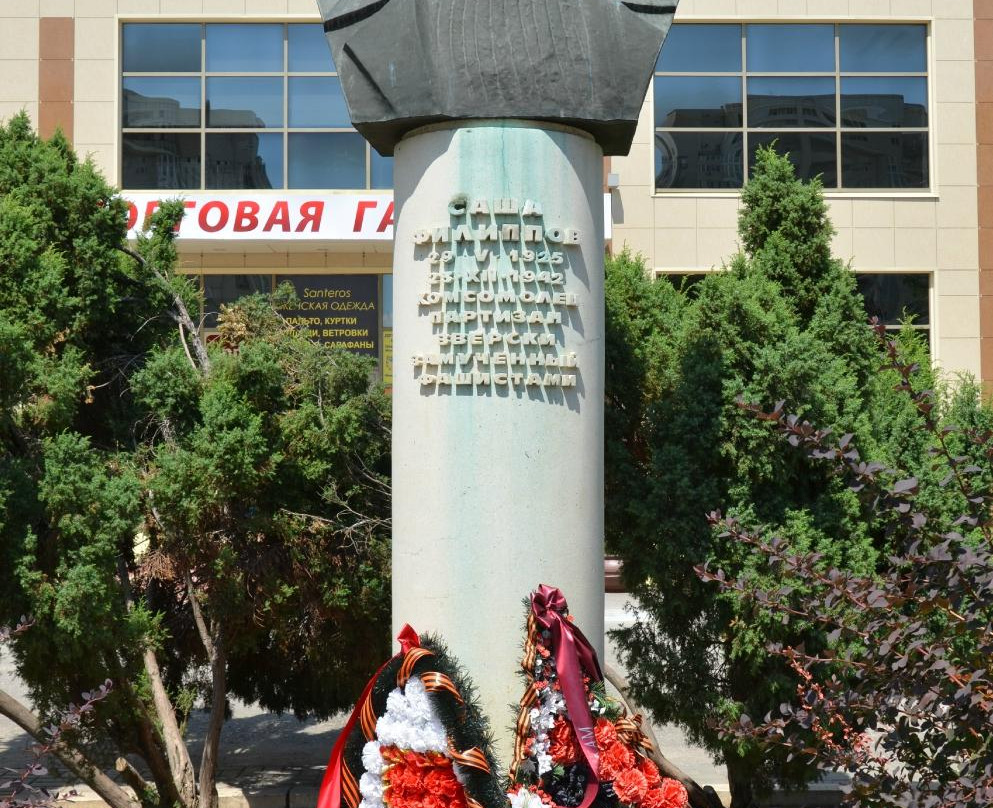 Sashi Filippova Park景点图片