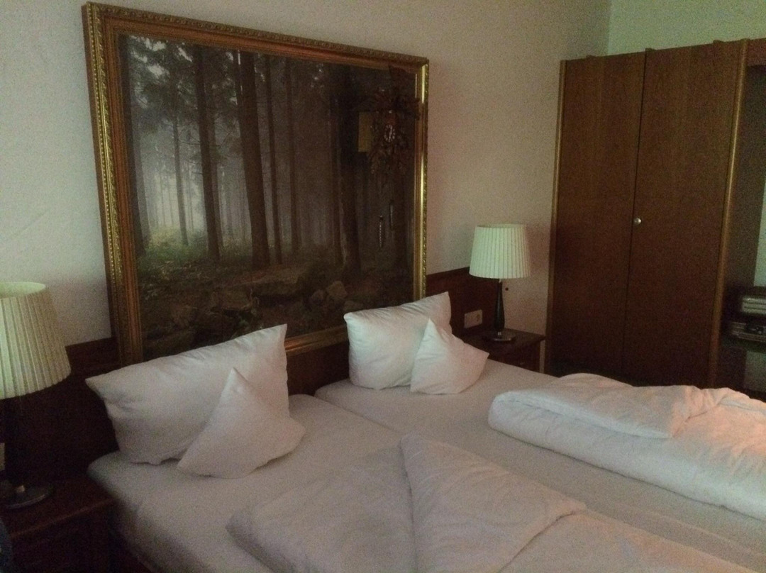 Landidyll Hotel Zum Kreuz主图