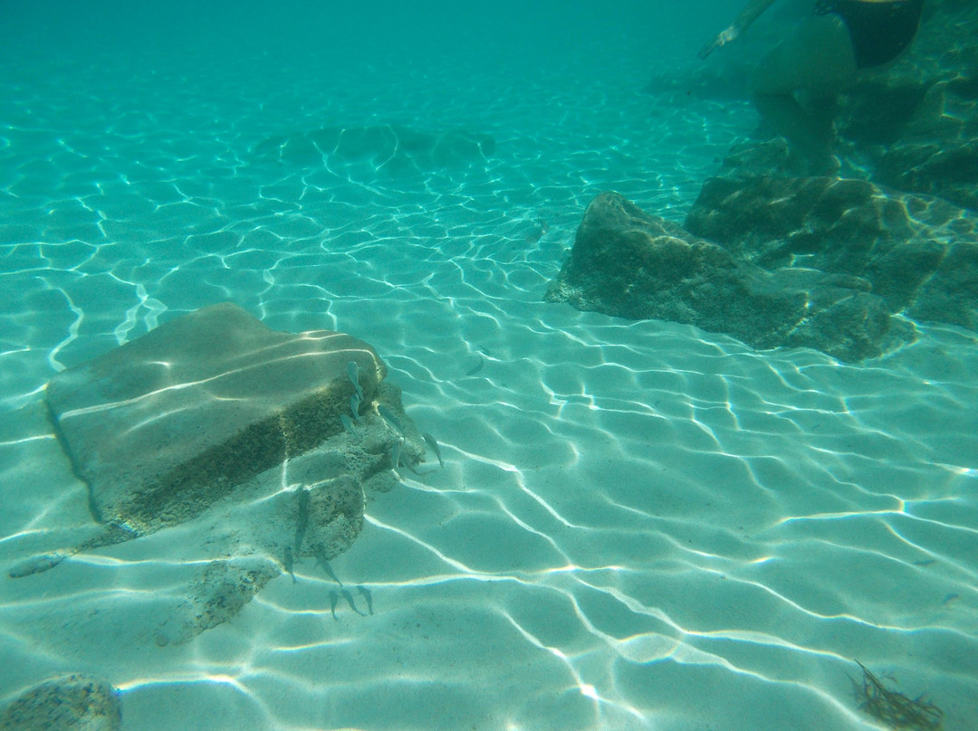 Blue Lagoon-Comino必去景点