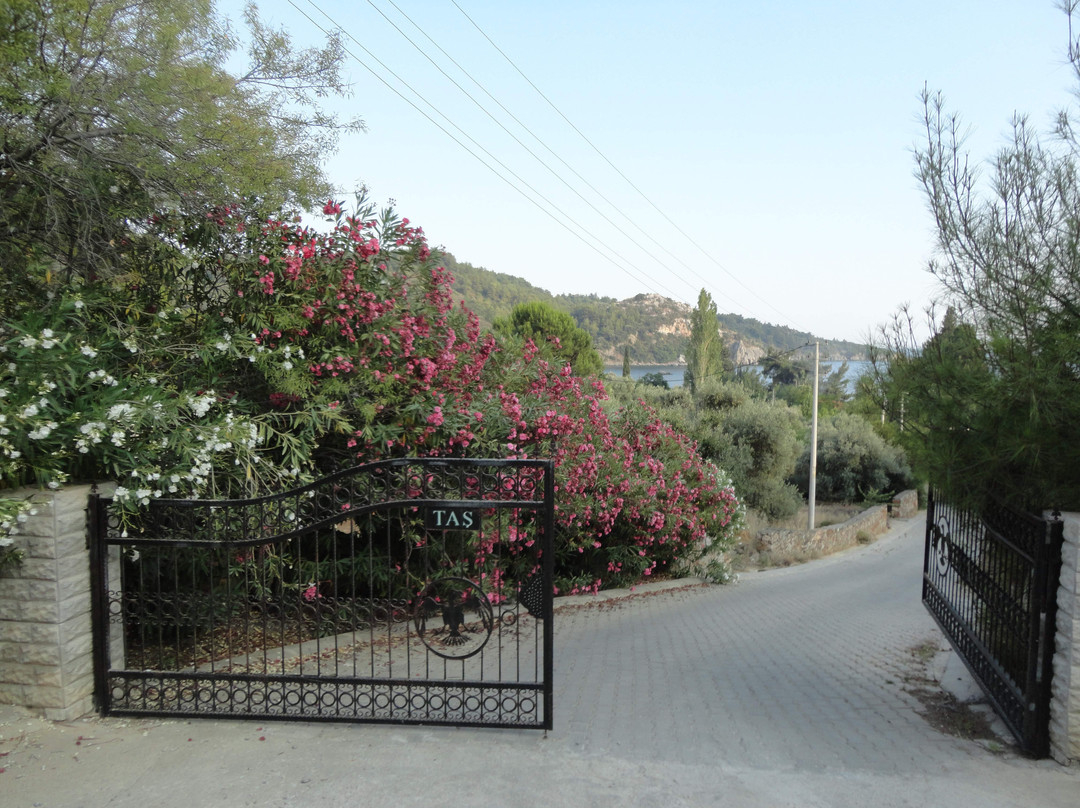 Tas Pansiyon