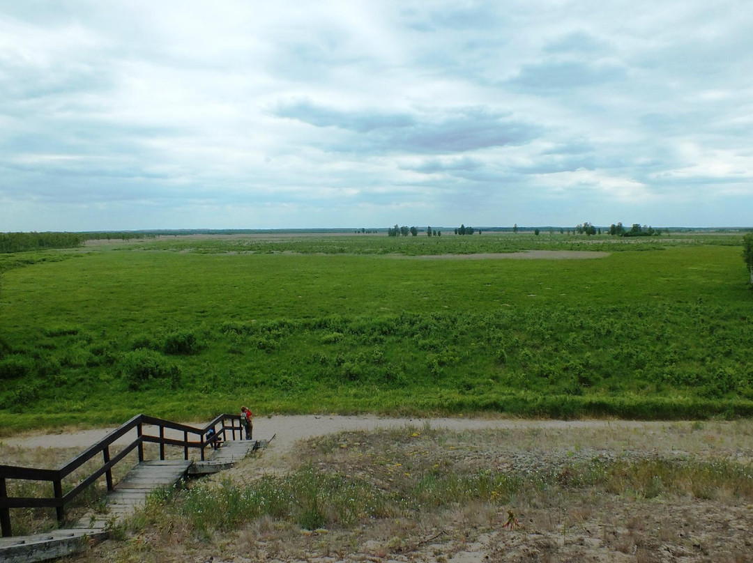 Biebrza National Park景点图片
