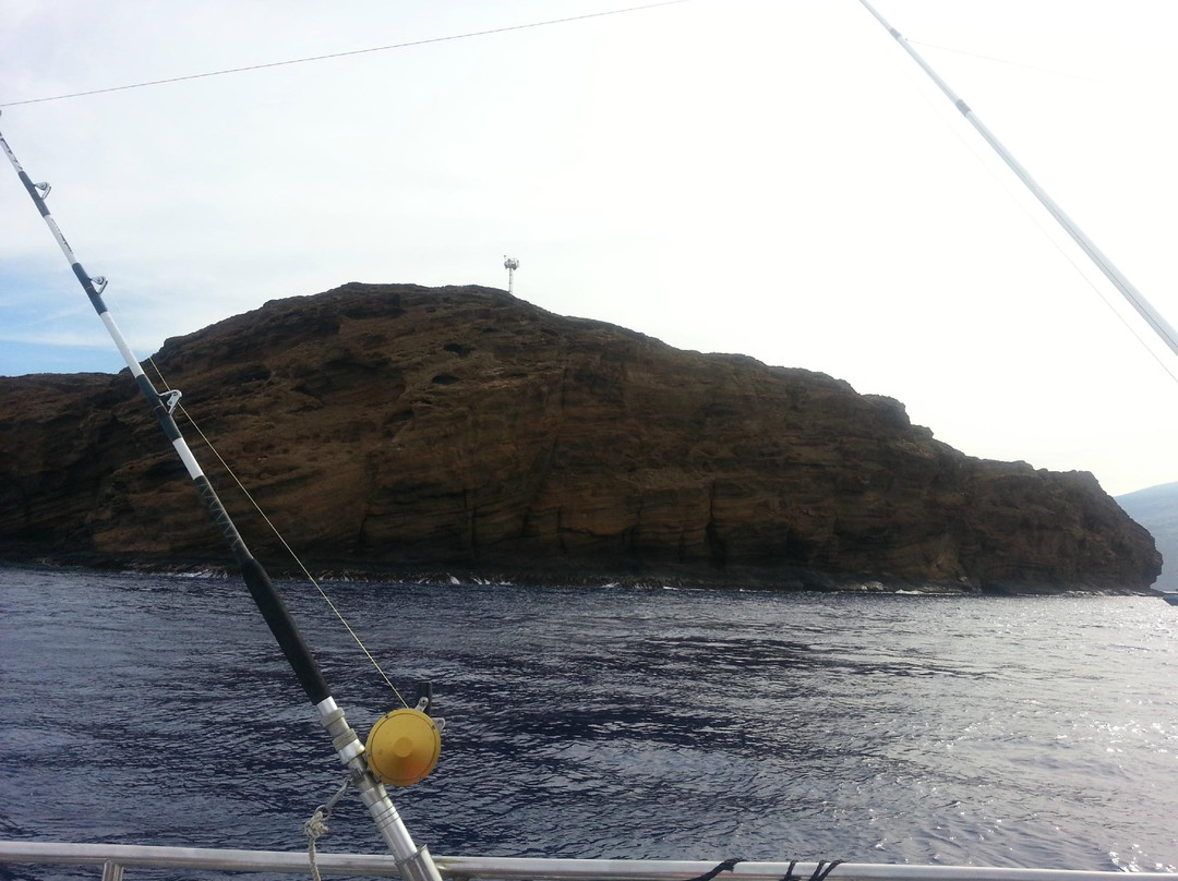 Aloha Blue Charters-玛阿拉也亚必去景点