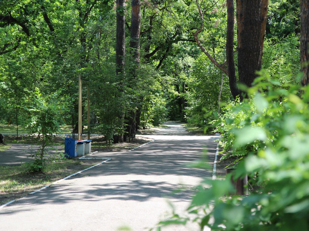 Pervomaiskiy Park of Culture and Leisure-布拉戈维申斯克必去景点