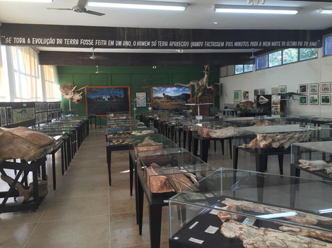 Paleontologia de Monte Alto Museum