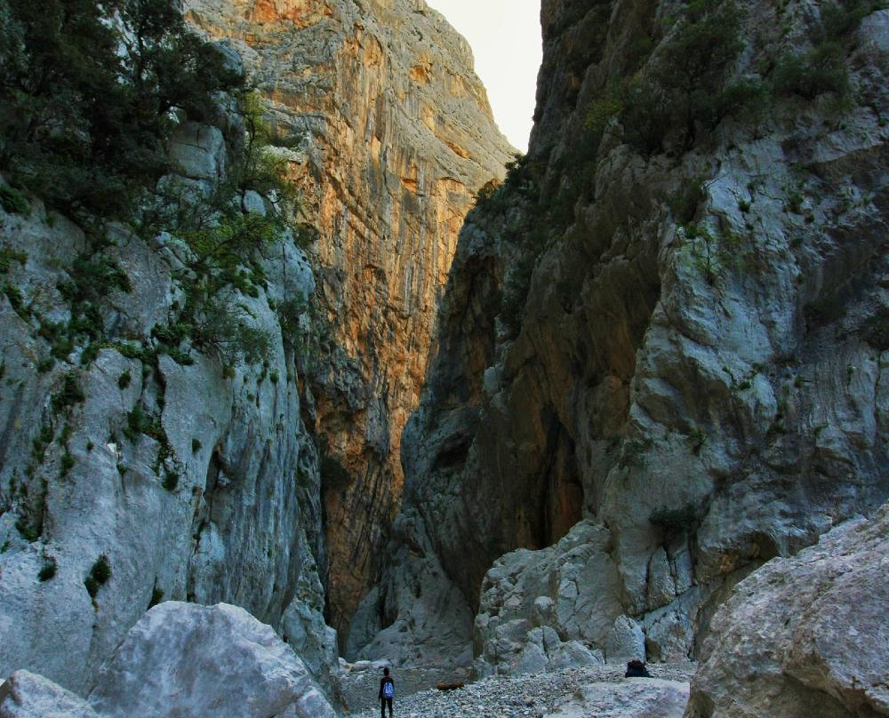 Thinking Sardinia-奥尔比亚必去景点