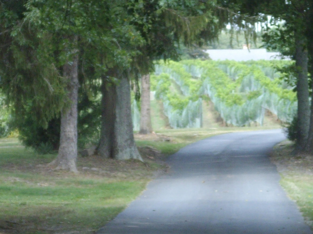 Lake Anna Winery景点图片