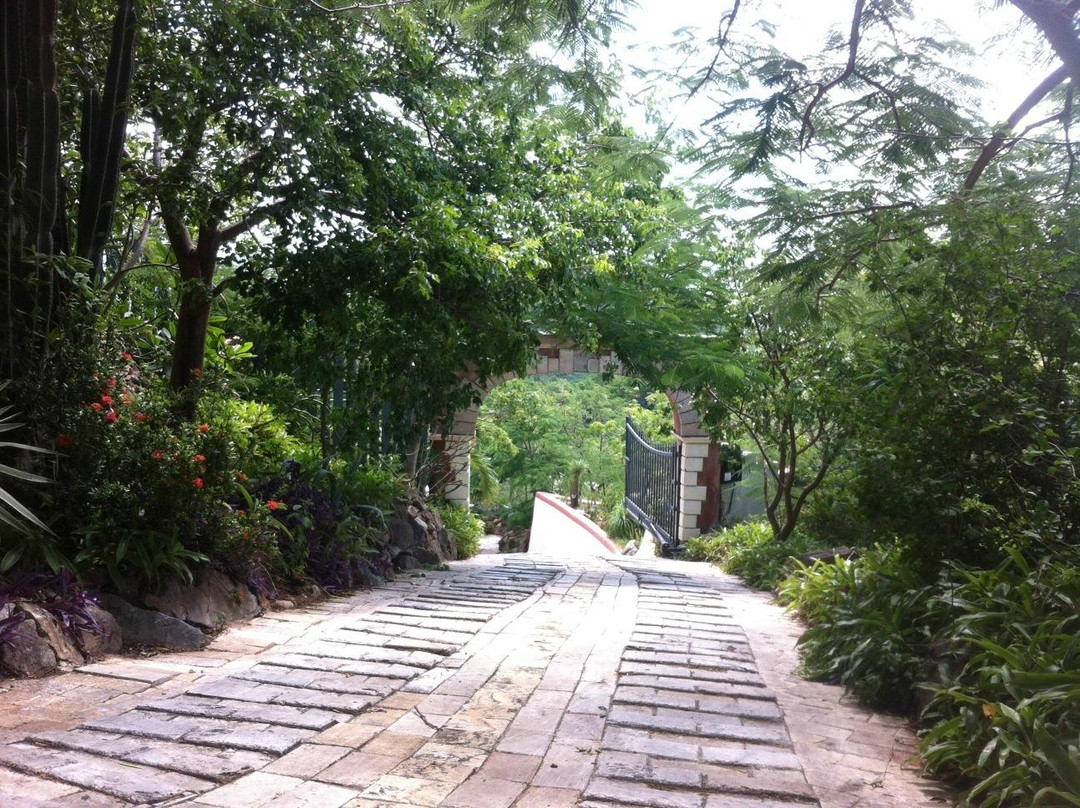 Lion's Gate Getaway
