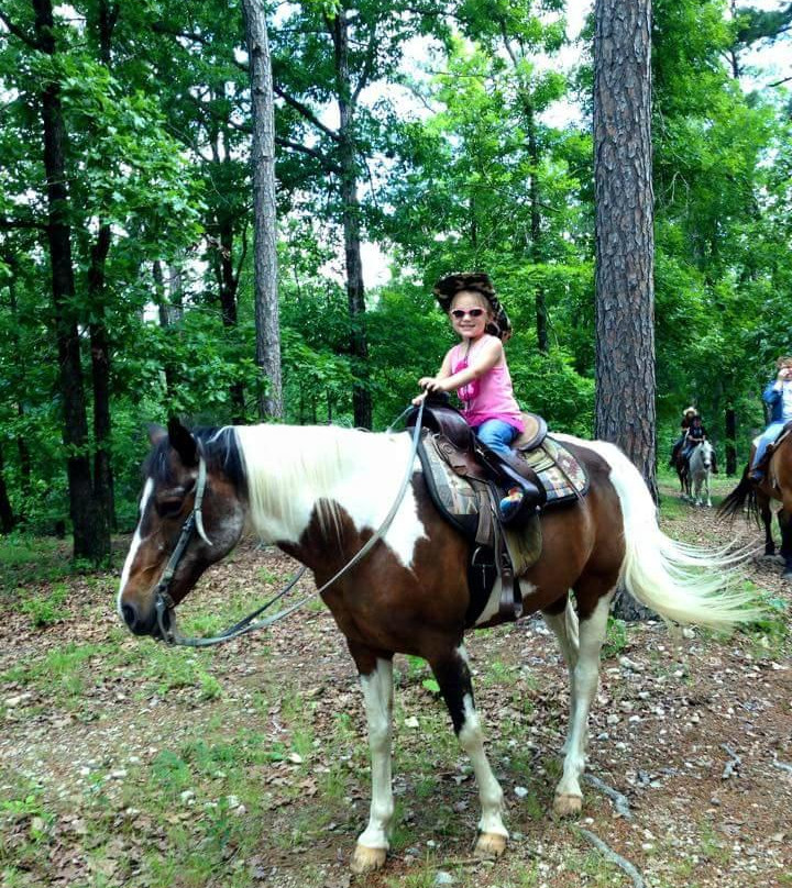 Dinner Bell Ranch and Resort-尤里卡斯普林斯必去景点