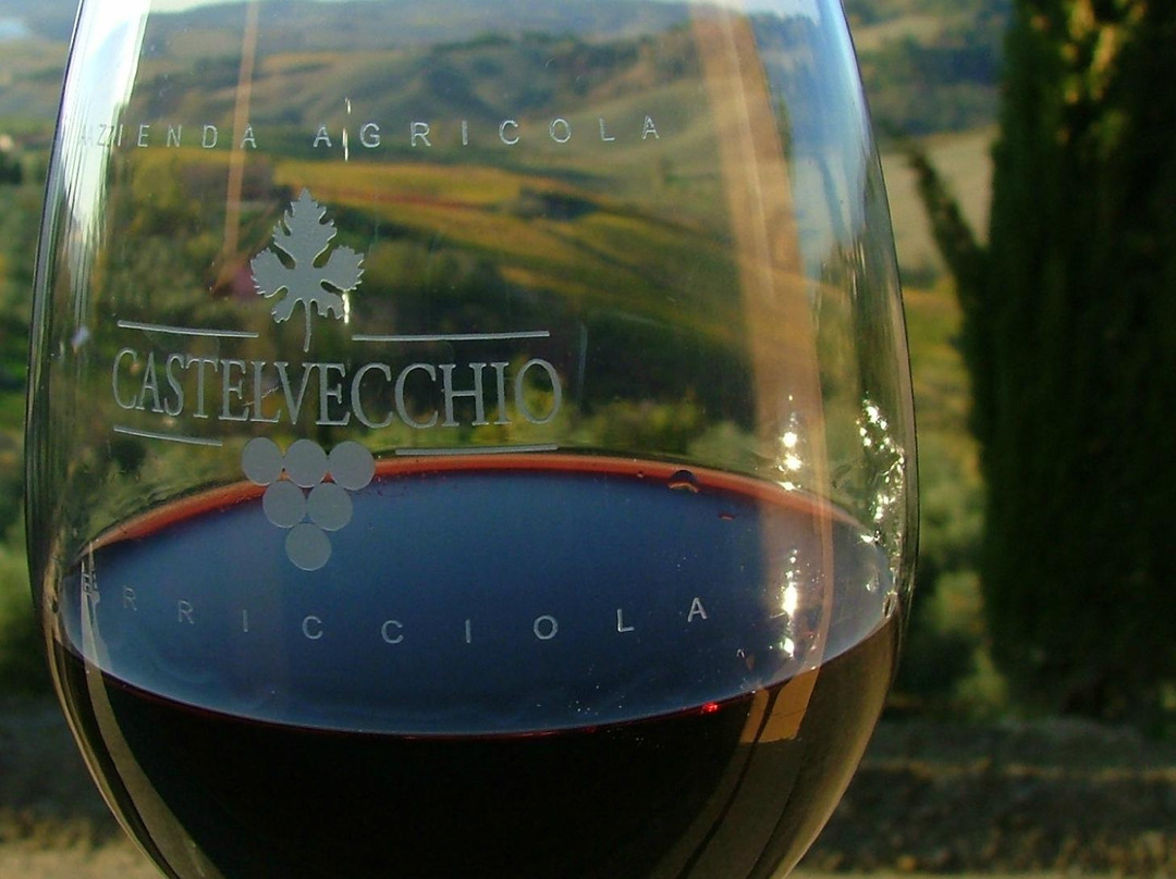 Azienda Agricola Castelvecchio-Terricciola必去景点