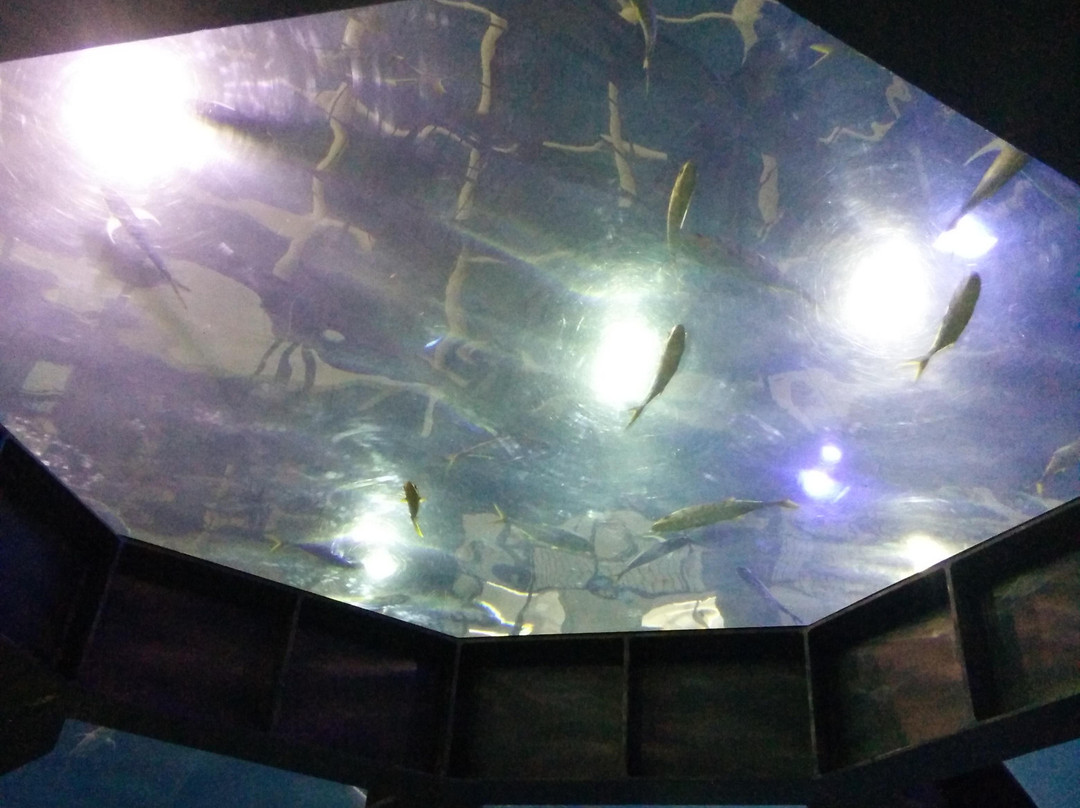 大连海洋乐园主图