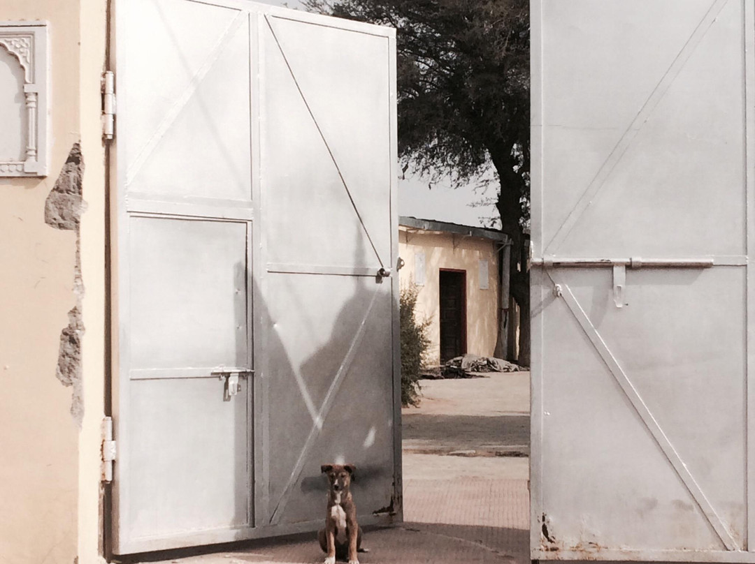 Jai Texart - Bagru Workshops - Day Classes-斋蒲尔必去景点