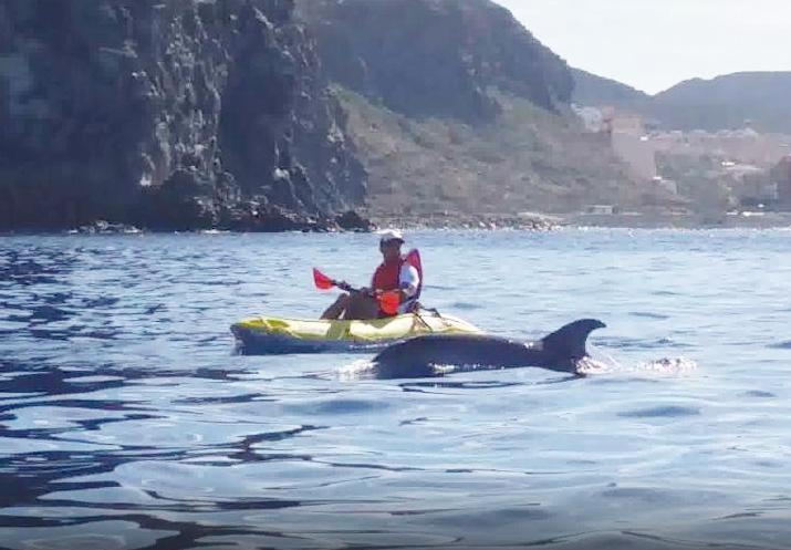 Tenerife snorkelling and kayaking景点图片