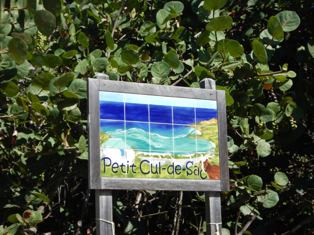 Petit Cul de Sac Beach-圣巴托洛缪岛必去景点