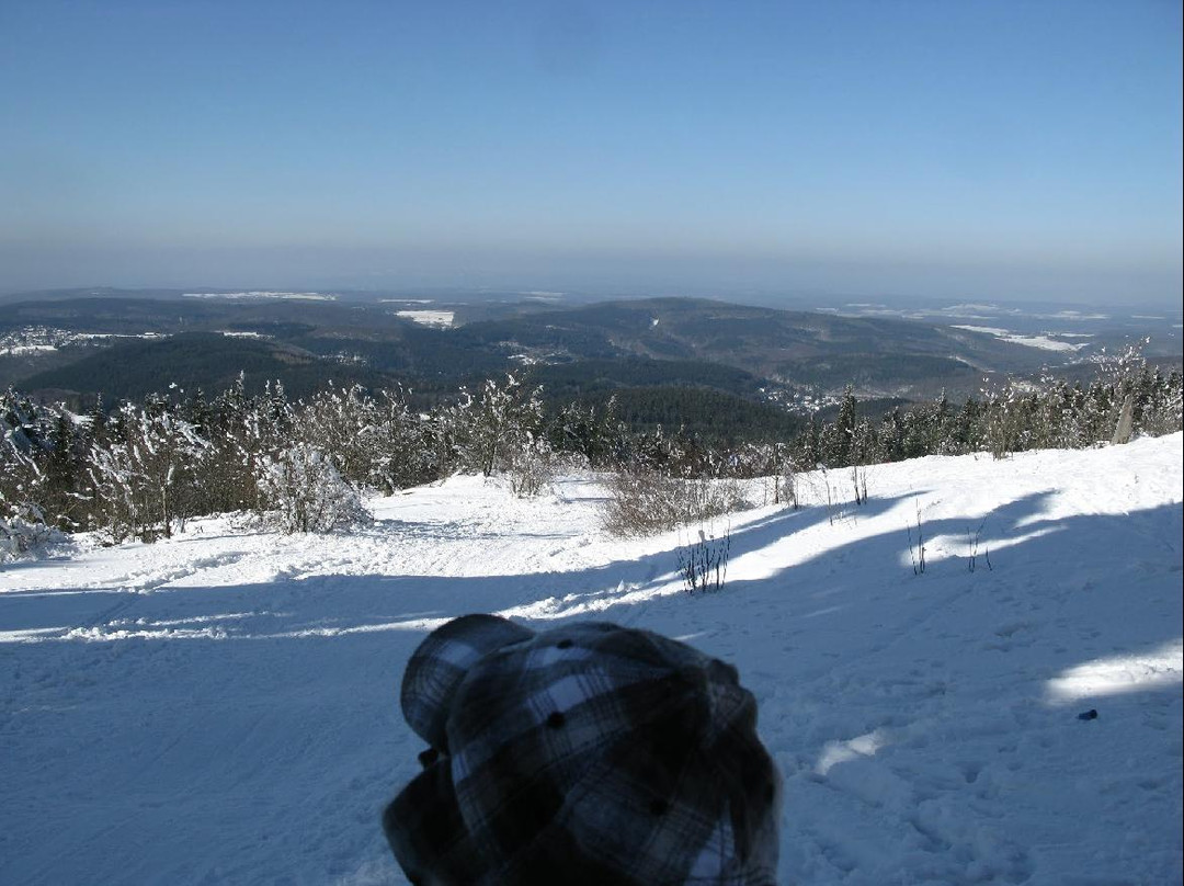 Feldberg Mountain景点图片