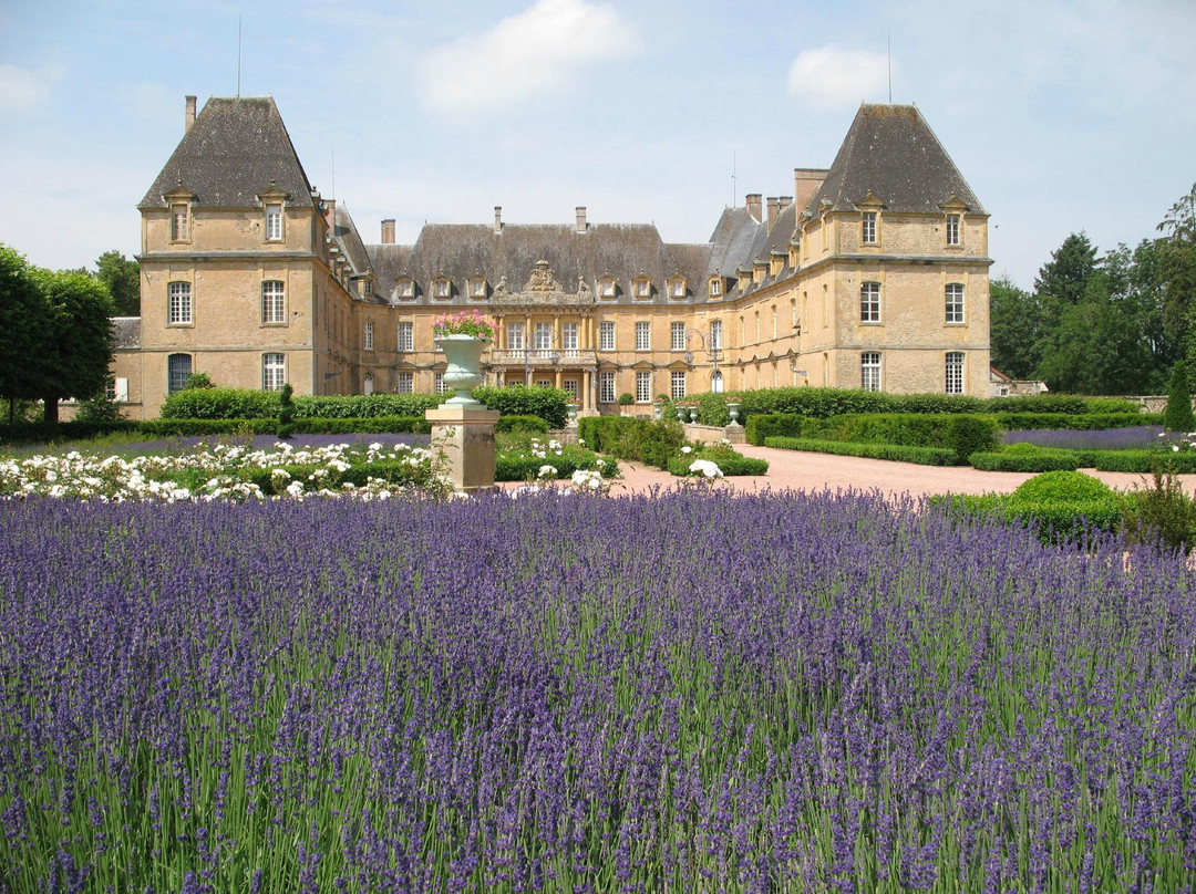 Château de Drée景点图片