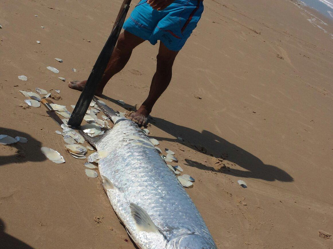 Quixaba Beach-Canoa Quebrada必去景点