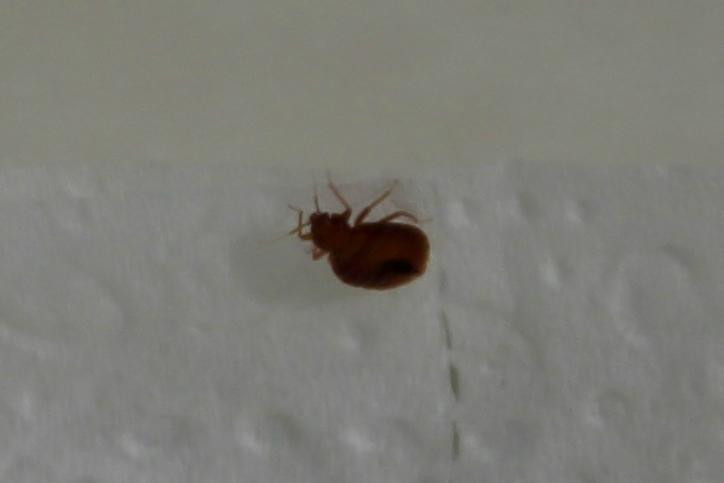 AmeriVu Inn & Suites - Shawano