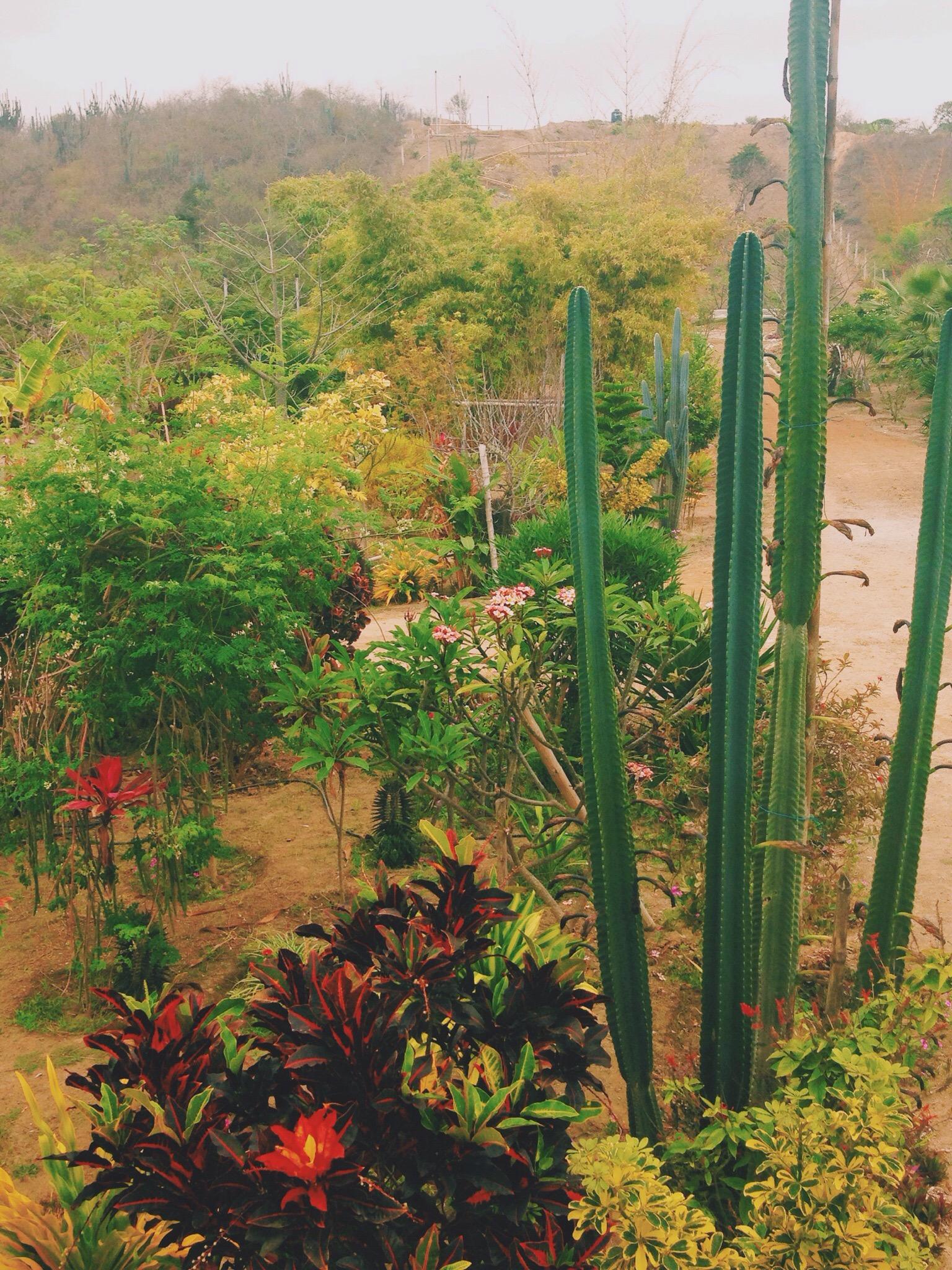 Jardin Suizo-客卧