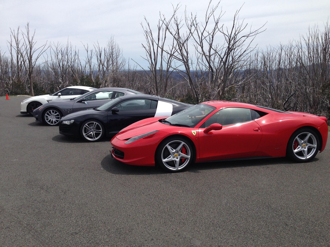Prancing Horse Drive Experiences - Yarra Valley景点图片