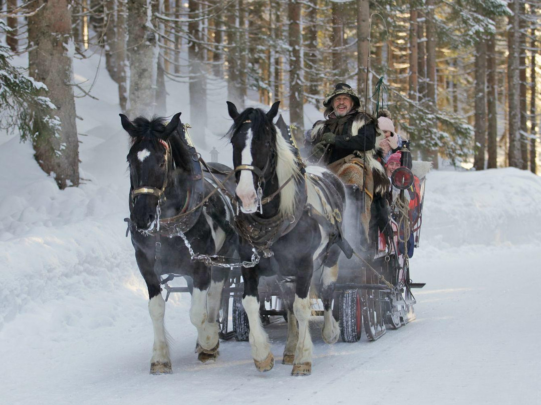 Tourismusverband Filzmoos-菲尔兹摩斯必去景点