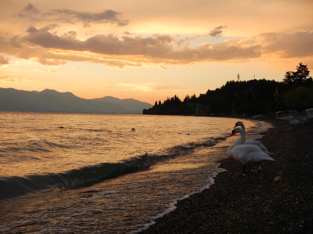 Hotel Holiday-M主图