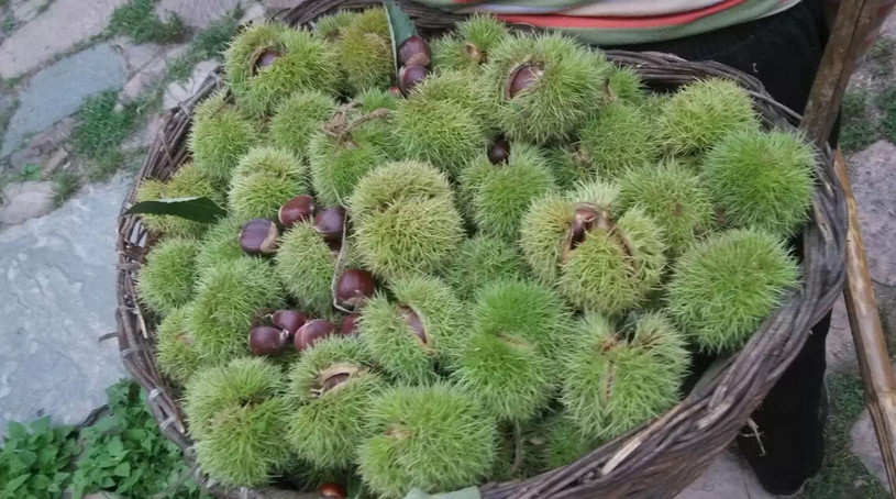 于家石头村-井陉县必去景点