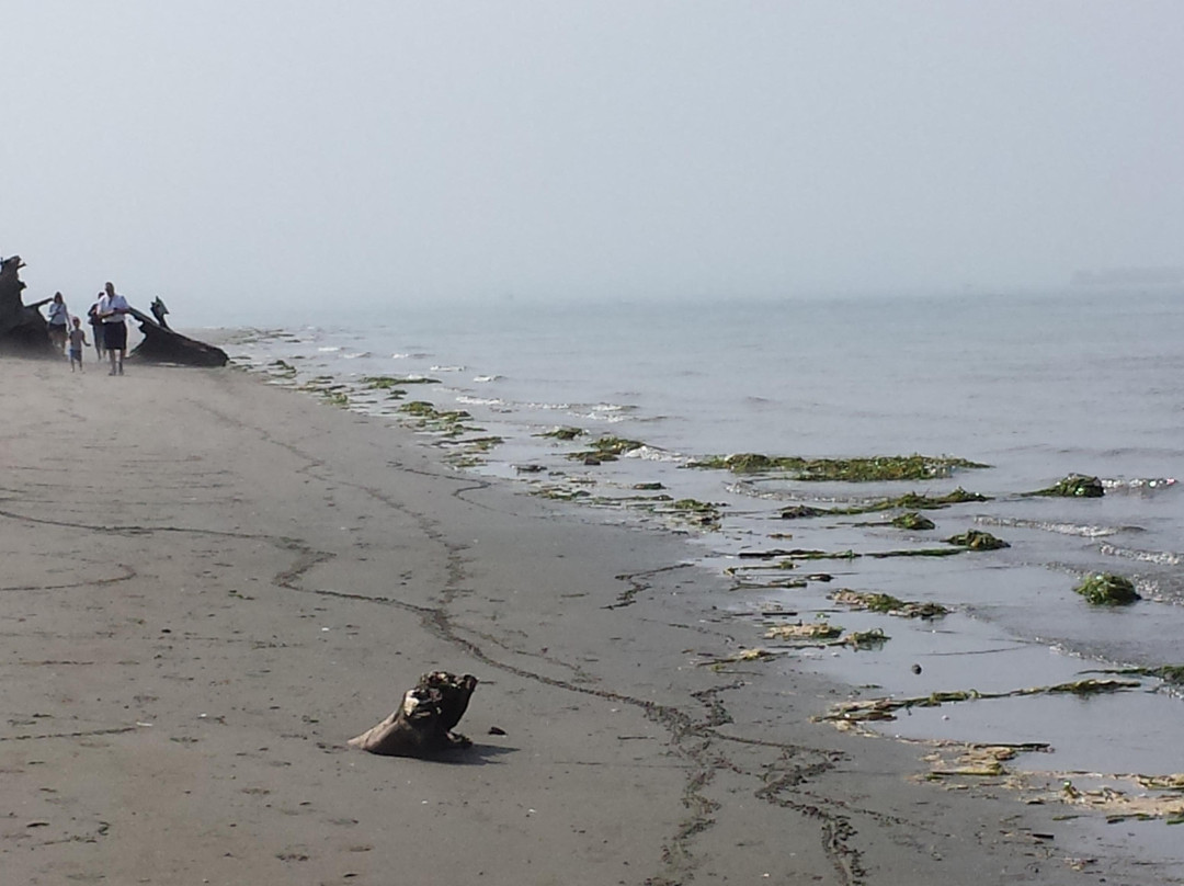 Jetty Island景点图片