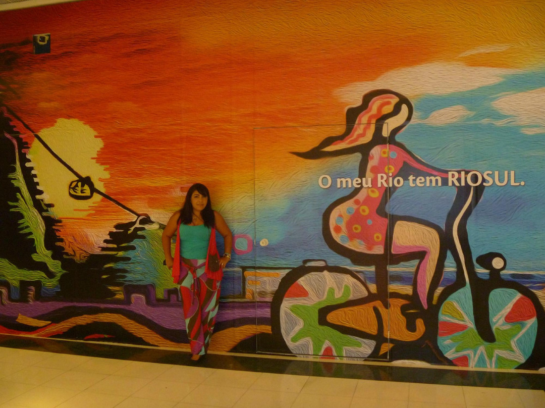 Rio Sul Shopping Center景点图片
