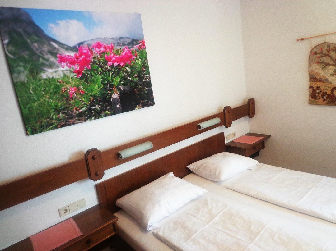 Hotel Restaurant Zum Falken主图