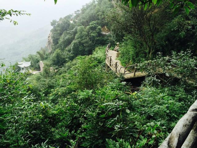 四明山国家森林公园-余姚市必去景点