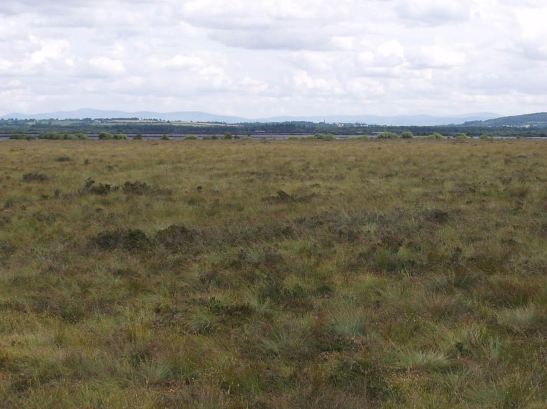 The Bog of Allen Nature Centre-基尔代尔必去景点