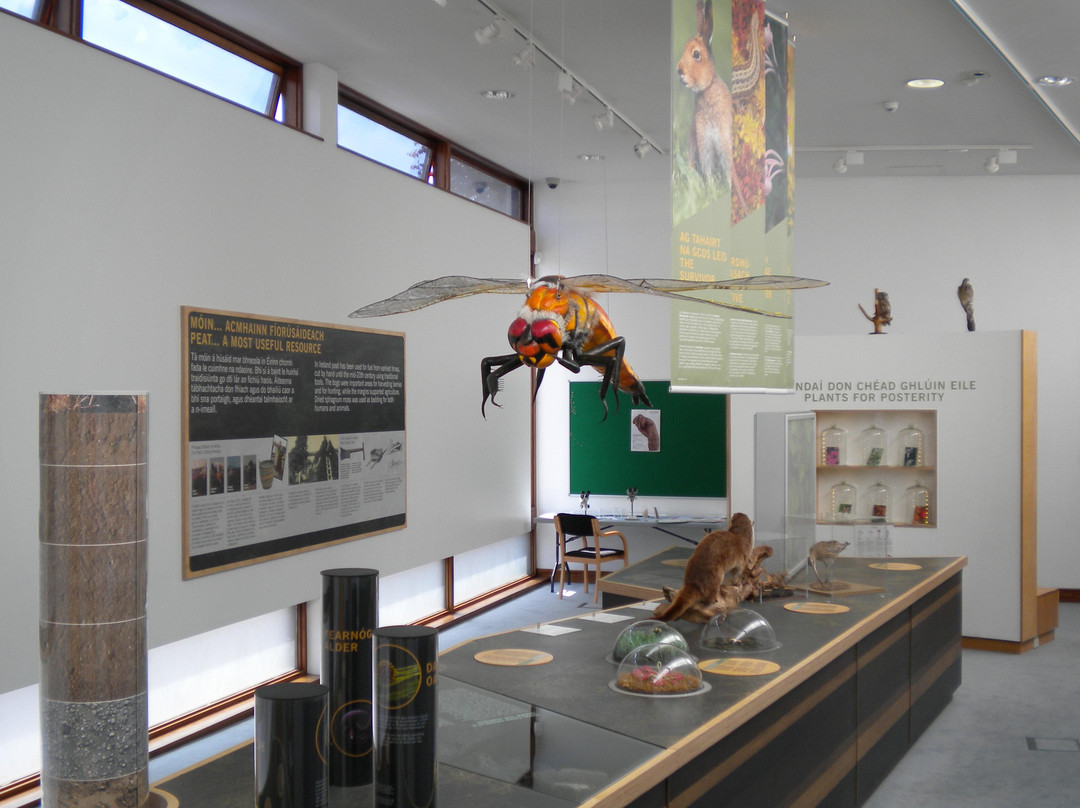 Clara Bog Visitor Centre-Clara必去景点