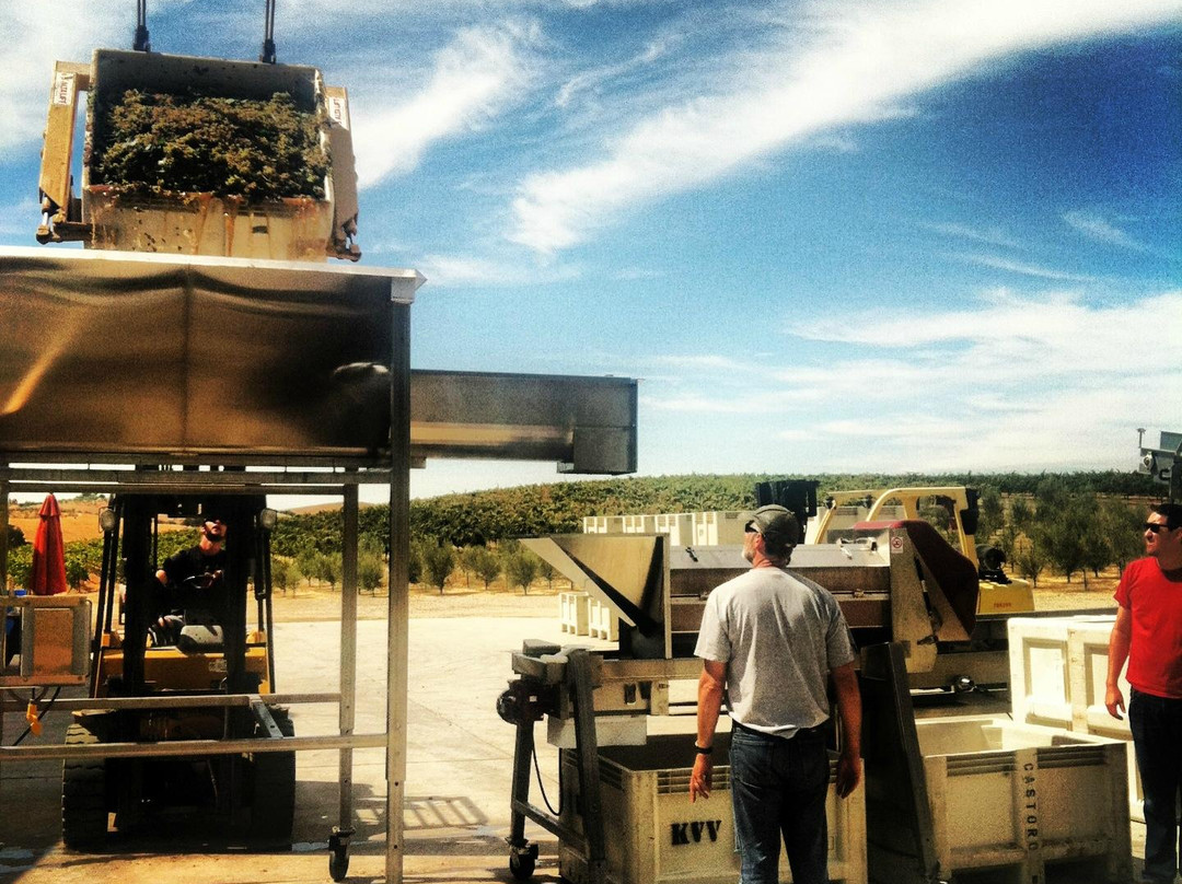 Pomar Junction Vineyard & Winery-帕索罗布尔斯必去景点