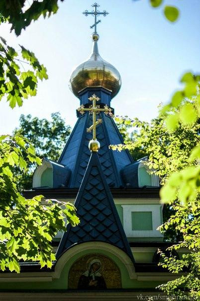 Chapel of St. Xenia of St. Petersburg景点图片