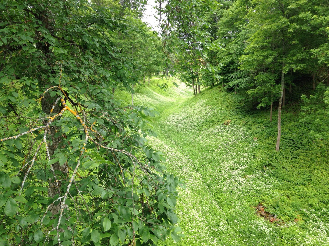 Viljandi Rope Bridge-维尔扬迪必去景点