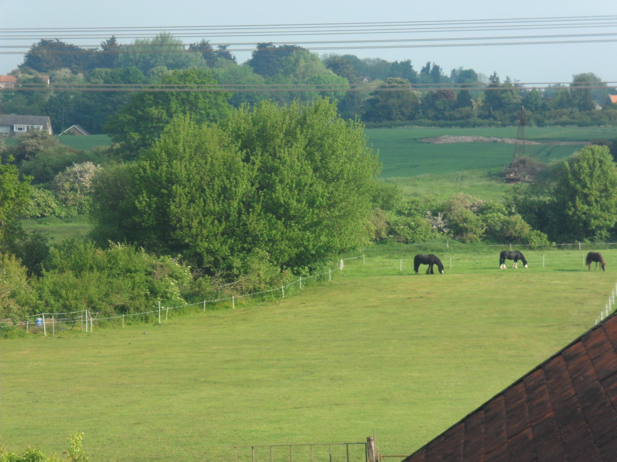 Hillbrow Farm B&B-酒店景观
