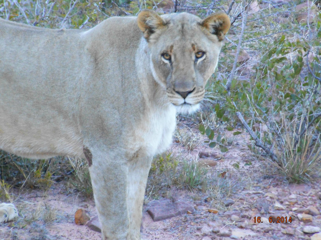 Marakele National Park-水堡必去景点
