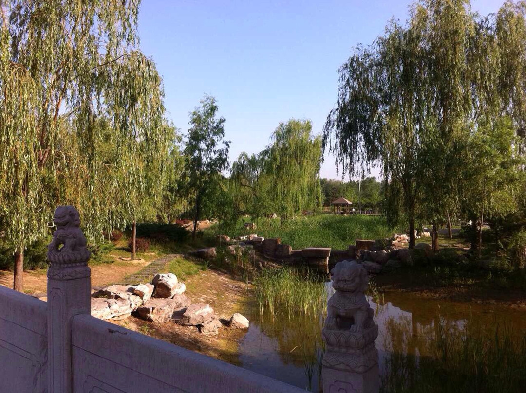 朝阳公园-北京市必去景点