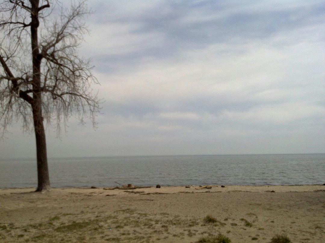 Sterling State Park景点图片