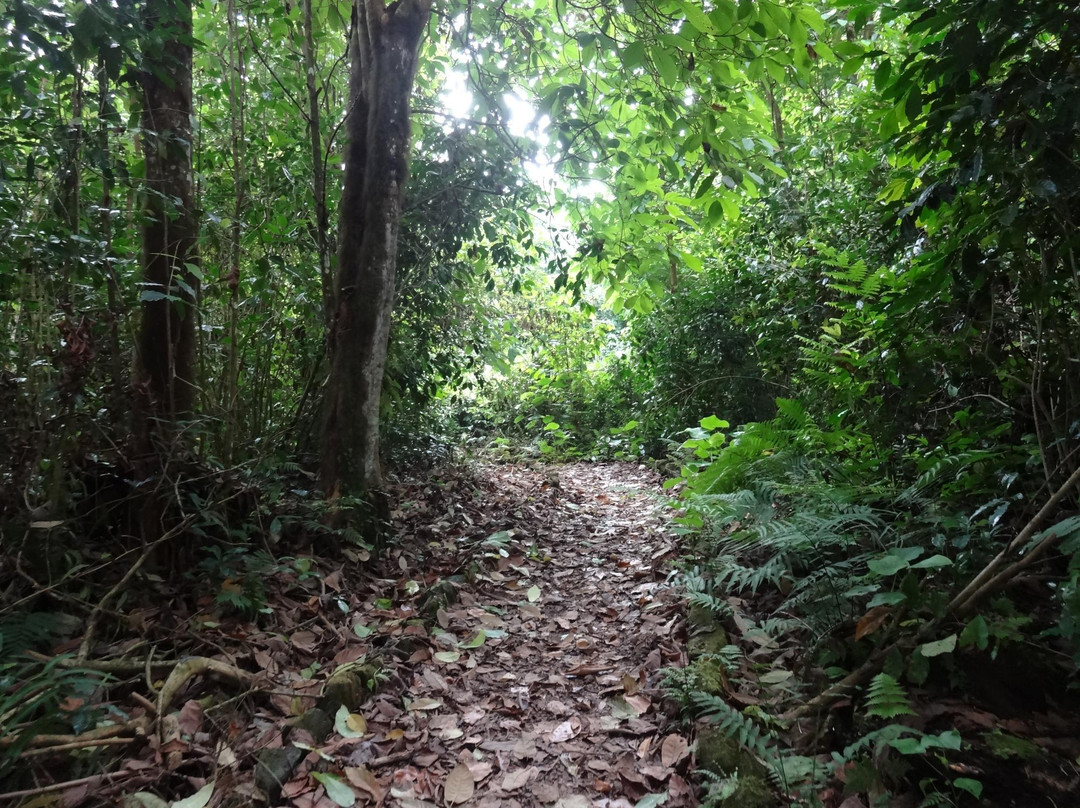 Cueva de Sucre-维里亚米尔港必去景点