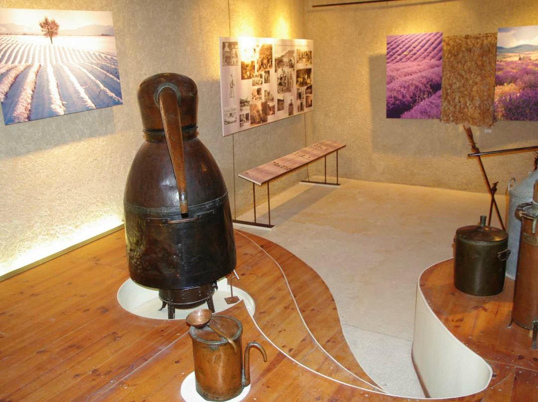 Museum of  Salagon景点图片