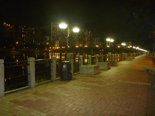 沙田丽豪酒店主图