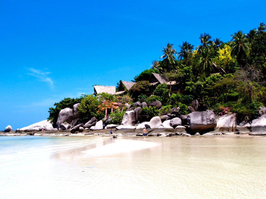 Coral Grand Divers-涛岛必去景点