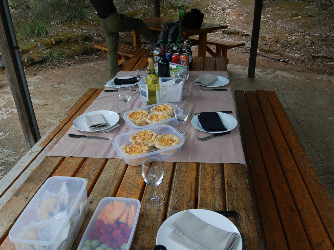 Australian Wildlife Walkabouts Eco Tours景点图片