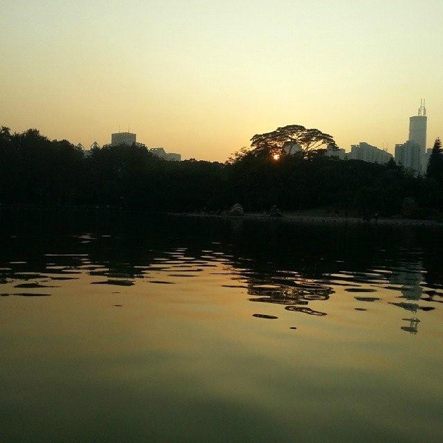 荔枝公园-深圳市必去景点